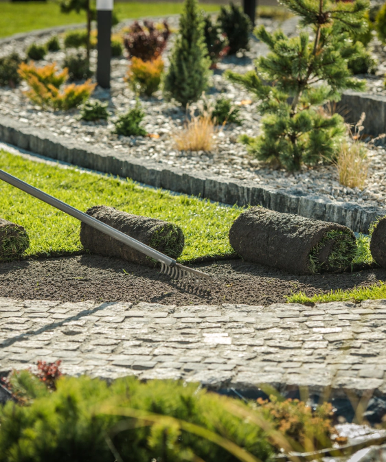 Landscape Installation