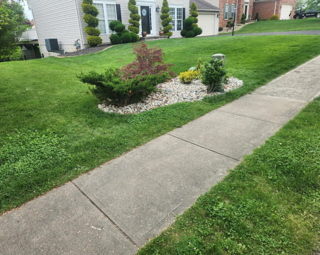 Landscaping Services (3)