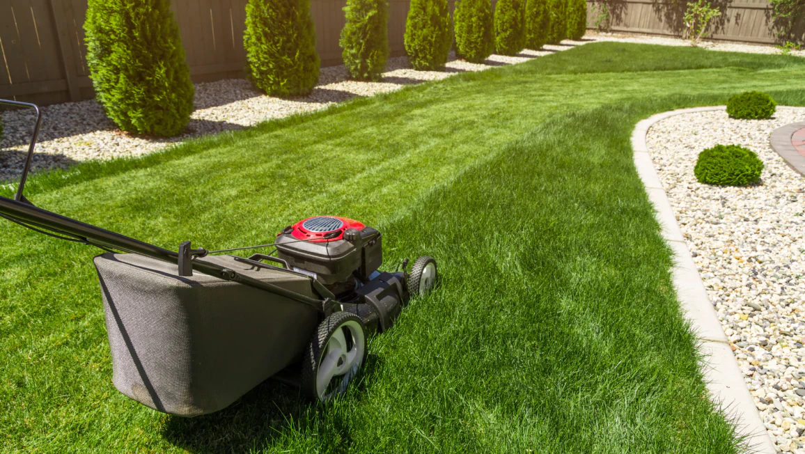 Lawn Maintenance Service (1)