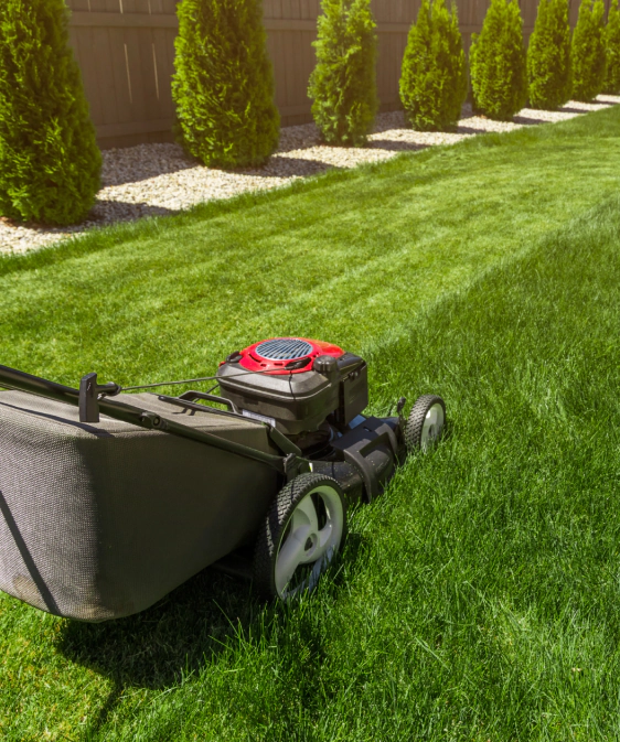 Lawn Maintenance Service